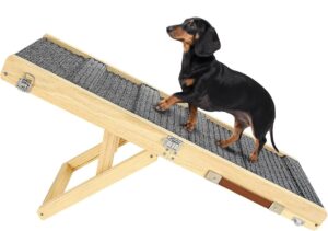 Read more about the article 🪜 Best Ramps for Dachshunds (2026 Buyer’s Guide)